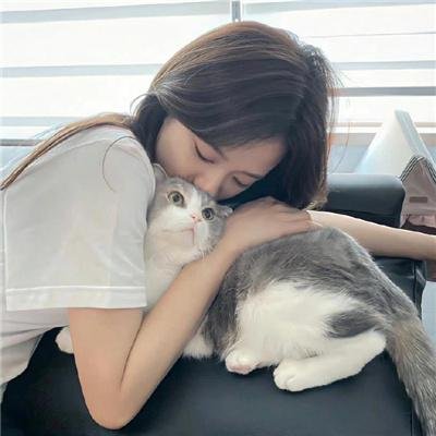 豹头王传说